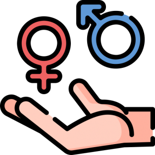 Feminine and masculine words in Brazilian Portuguese
